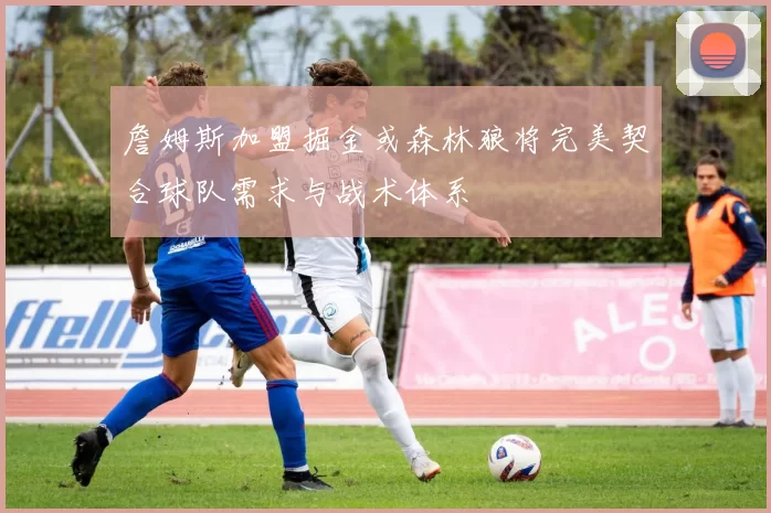 詹姆斯加盟掘金或森林狼将完美契合球队需求与战术体系
